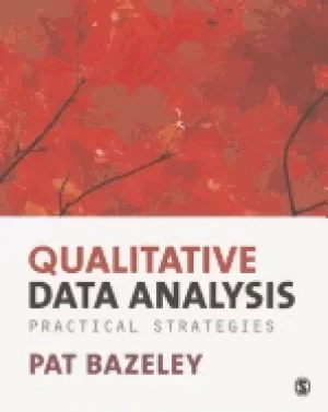 48 qualitative data analysis practical strategies 03036