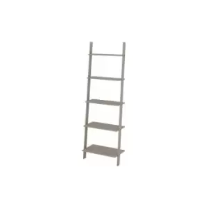 Ladder design shelf unit