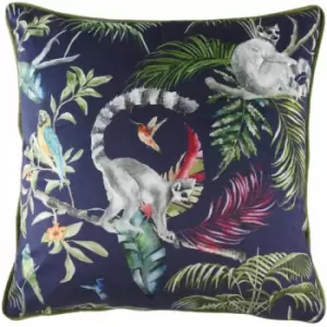 Evans Lichfield - Jungle Lemur Print Faux Velvet Cushion Cover, Blue, 43 x 43 Cm