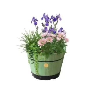 Vegtrug Medium Barrel 46cm - Sage Green