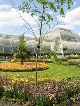 Virgin Experience Days Visit To Kew Gardens And Palace With Afternoon Tea For Two