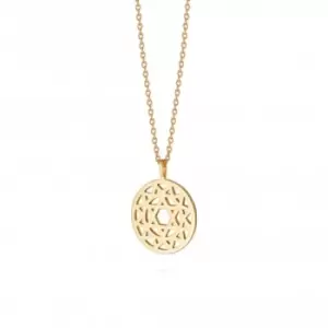 Heart Chakra 18ct Gold Plated Necklace NCHK4004