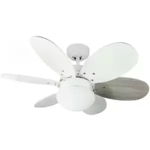 Cristal Record Orion AC Ceiling Fan with Light White-Ash