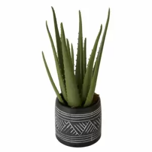 Interiors by PH Faux Aloe Vera in Cement Pot, none