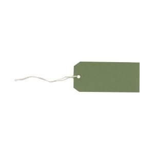 Strung Tags 120mm x 60mm Green 1 x Pack of 1000