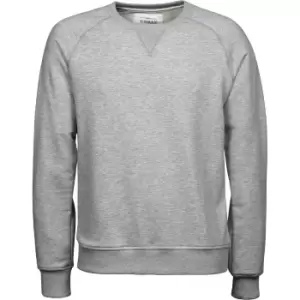 Tee Jays Mens Urban Raglan Sweatshirt (XL) (Heather Grey)