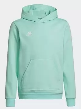 Boys, adidas Entrada 22 Sweat Hoodie, Light Green, Size 7-8 Years