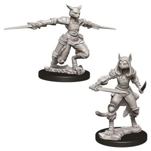 D&D Nolzur's Marvelous Unpainted Miniatures (W9) Female Tabaxi Rogue