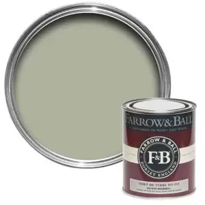 Farrow & Ball Estate Vert De Terre No. 234 Eggshell Paint, 750Ml