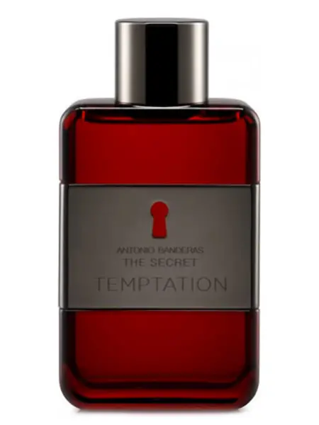 Antonio Banderas The Secret Temptation Eau de Toilette For Him 200ml