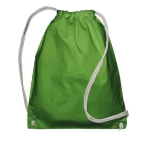 Jassz Bags Drawstring Backpack (One Size) (Light Green)