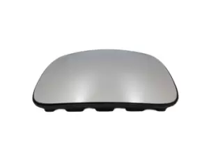 DT Spare Parts Wide-angle mirror 3.86020 MERCEDES-BENZ,MAN,O 405,UNIMOG,E2000,F90,F90 Unterflur,L2000,LION'S CITY,LION'S COACH,LION'S STAR,M 2000 L