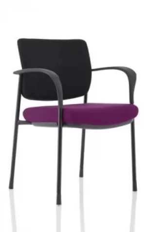 Brunswick Deluxe Black Frame Bespoke Seat Tansy Purple