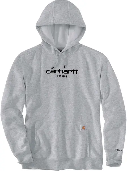 Carhartt Lightweight Logo Graphic Hoodie, grey, Size L