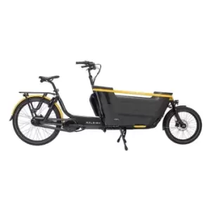 Raleigh Stride 2 Family Cargo Bike - Black