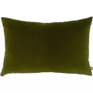 Furn Velvet Cushion Cover (One Size) (Olive) - Olive