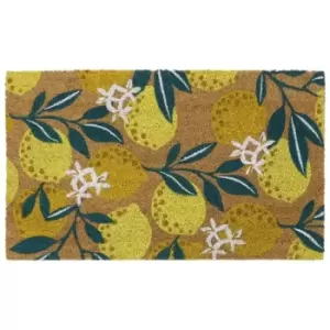 Eco-Friendly Latex Backed Coir Door Mat, Lemons - JVL