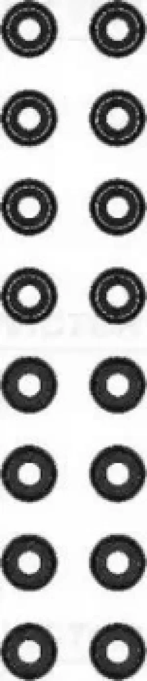 Gasket Set 12-53547-01 by Victor Reinz