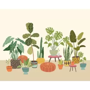 Origin Murals Houseplant Pots Natural Wall Mural - 3 x 2.4m