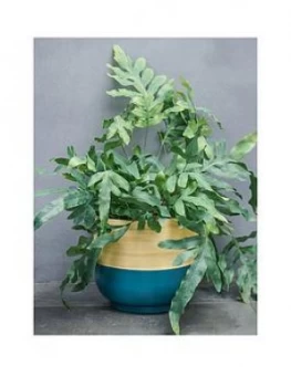 Ivyline Bamboo Teal Planter