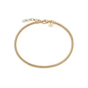 Daisy London 18ct Gold Plate Round Snake Chain Bracelet 18ct Gold Plate