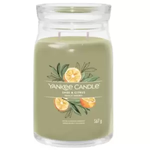 Yankee Candle Signature Jar Candle Large Jar Sage & Citrus 567g