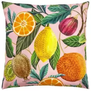 Evans Lichfield Citrus Outdoor Cushion Cover (One Size) (Multicoloured)