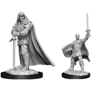 D&D Nolzur's Marvelous Unpainted Miniatures (W13) Human Paladin Male