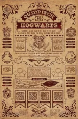 Harry Potter Quidditch at Hogwarts Poster multicolour