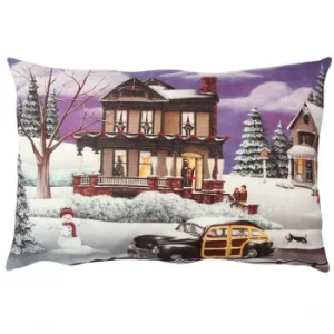 A50838 Multicolor Cushion