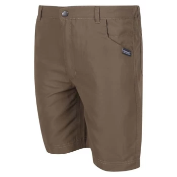 Regatta Sorcer Shorts II - Grey