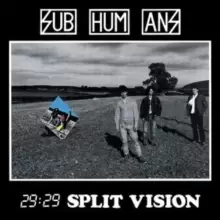 29:29 Split Vision