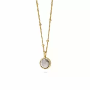 Daisy London Jewellery 18ct Gold Plated Sterling Silver Howlite Healing Stone Necklace 18Ct Gold Plate