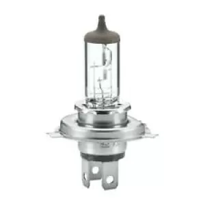 Headlight Bulb HELLA 8GJ 002 525-891