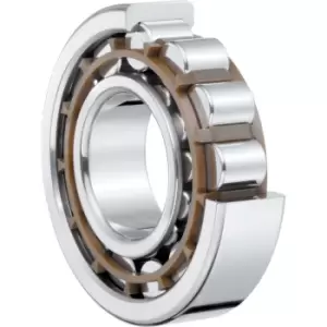 NU306-EG15C3-J30 Cylindrical Roller Bearing