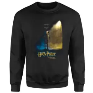 Harry Potter Chamber Of Secrets - Dobby Sweatshirt - Black - M - Black