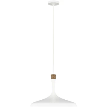 Elstead - Darwin 1 Light Pendant, Matt White, E27