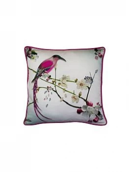 Ted Baker Flight Of The Orient Cushion