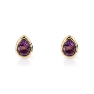 JG Signature Gold Plated February Birthstone Teardrop Stud Earrings