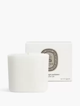 La Vallee du Temps (Valley of Time) - Candle Refill - Diptyque