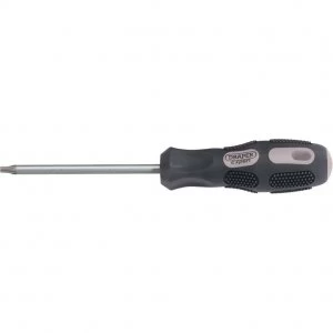 Draper Expert Security Torx Screwdriver T25 100mm