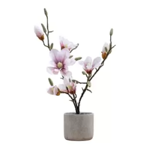 Gallery Interiors Raskop Potted Magnolia Light Pink