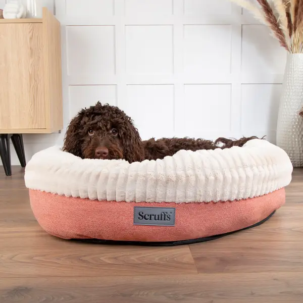 Scruffs Ellen Donut Pet Bed Cream