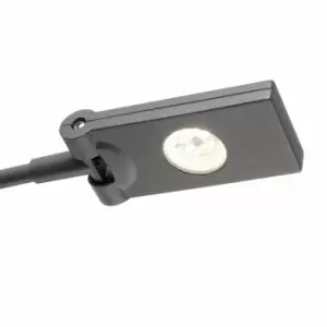 Toran LED Outdoor Wall Spotlight Dark Grey IP44