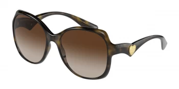 Dolce & Gabbana Sunglasses DG6154 502/13