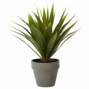 Interiors by PH Faux Agave in Cement Pot, none