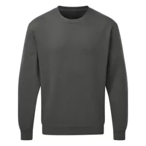 SG Mens Long Sleeve Crew Neck Sweatshirt Top (3XL) (Cassis)