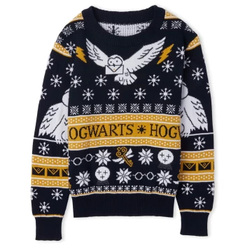 Harry Potter Owl Mail Kids Festive Knitted Jumper - Navy - M