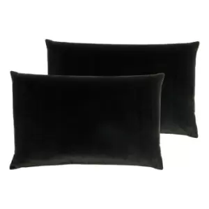 Furn. Contra Twin Pack Polyester Filled Cushions Black