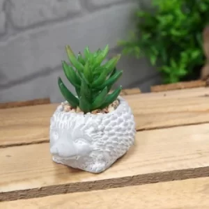 Mini Cement Hedgehog Planter with Succulent